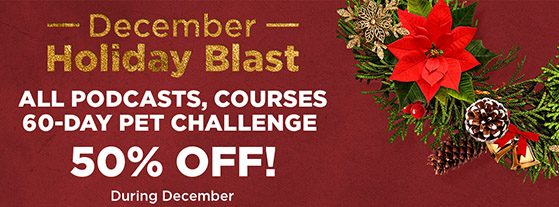 December Holiday Blast Website Banner 2